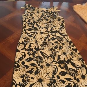Size 6 Sleeveless dress black and white flowers